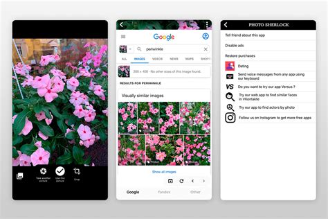 reverse imagw search|sherlock reverse image search.